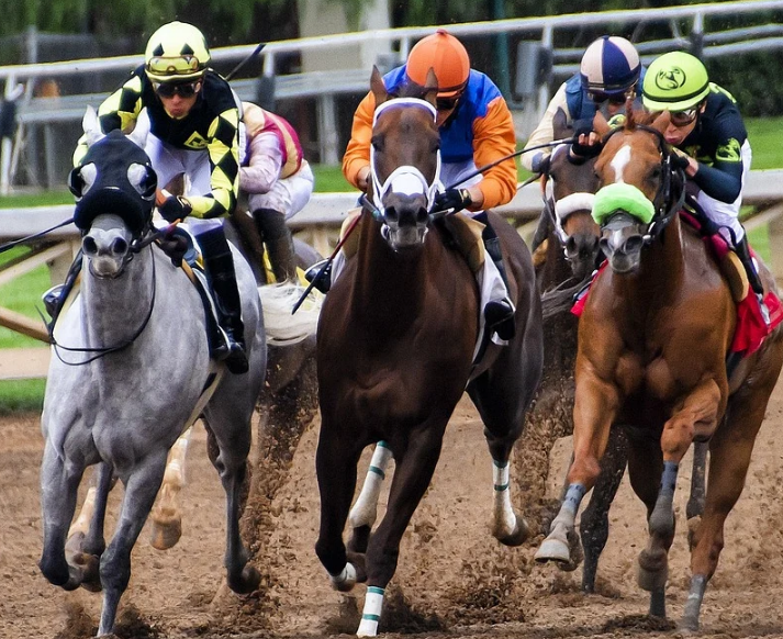 horse racing