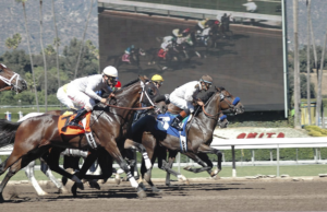 horse race
